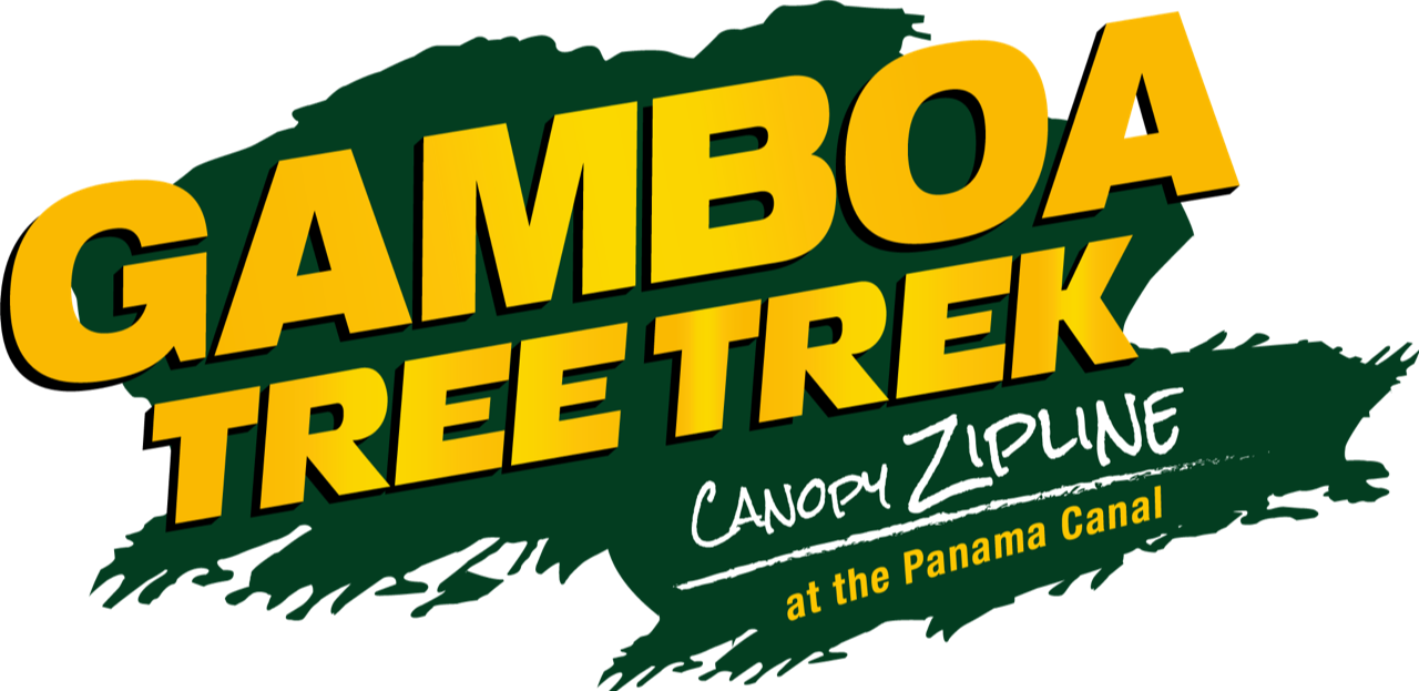 Tour de Canopy Gamboa Tree Trek